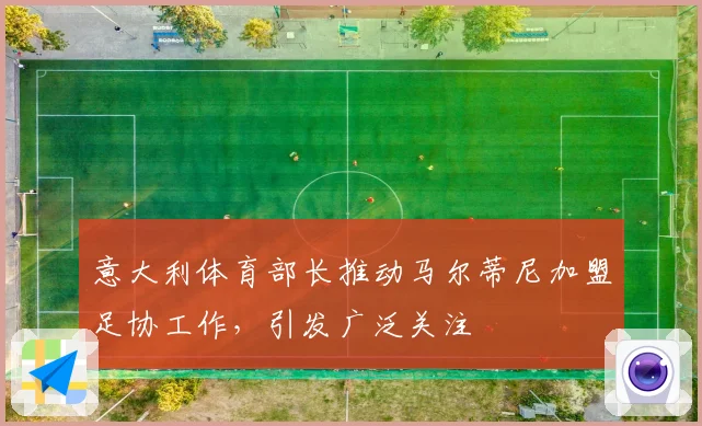意大利体育部长推动马尔蒂尼加盟足协工作，引发广泛关注